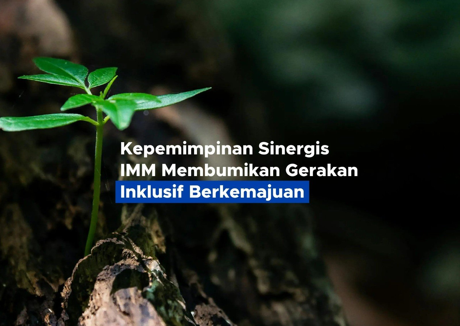 Kepemimpinan Sinergis IMM Membumikan Gerakan Inklusif Berkemajuan